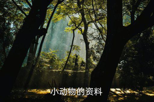 小動物的資料