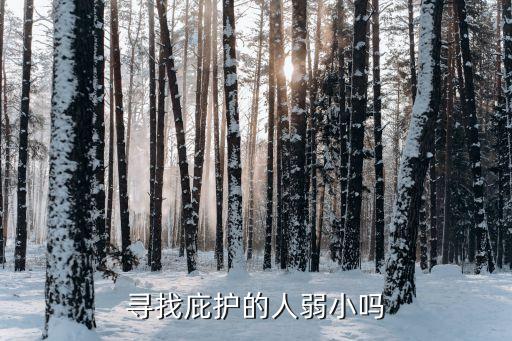 尋求庇護，尋找庇護的人弱小嗎