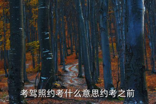 駕校約考，駕照考試約考 要怎么弄的不懂