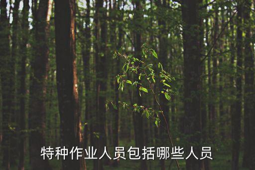 特種作業(yè)人員包括哪些人員