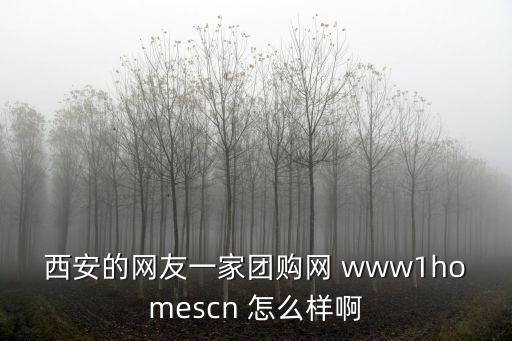一家一戶購物網(wǎng)，西安的網(wǎng)友一家團(tuán)購網(wǎng) www1homescn 怎么樣啊