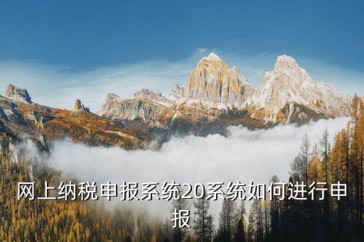 納稅申報(bào)系統(tǒng)，網(wǎng)上納稅申報(bào)系統(tǒng)20系統(tǒng)如何進(jìn)行申報(bào)
