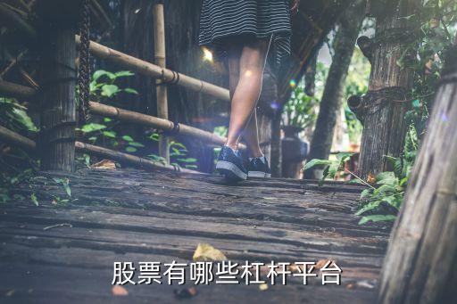 杠桿炒股app，股票有哪些杠桿平臺