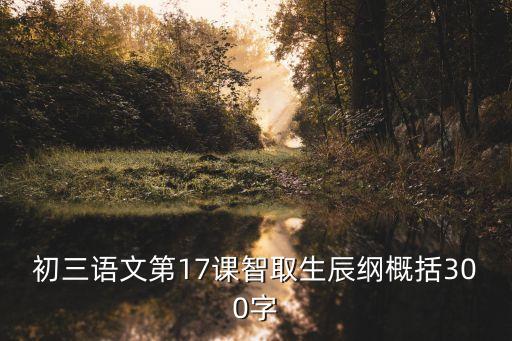 智取生辰綱教案，九年級上冊第十七課智取生辰綱