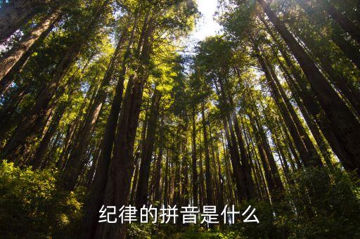 紀(jì)律的拼音是什么