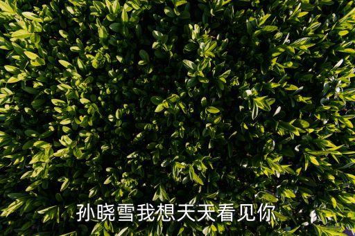 孫曉雪，孫曉雪我想天天看見你