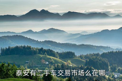 泰安有二手車交易市場么在哪