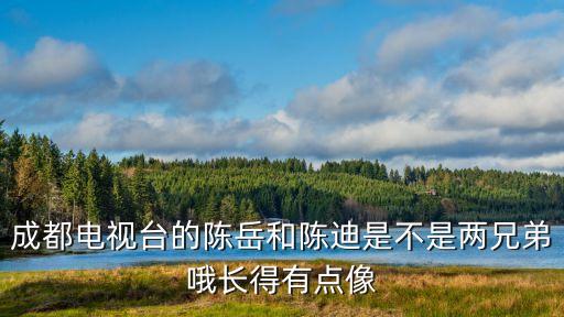 成都電視臺的陳岳和陳迪是不是兩兄弟哦長得有點像