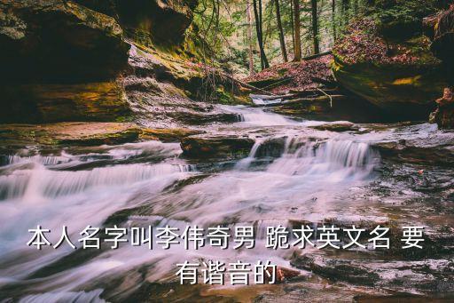 李偉奇，本人名字叫李偉奇男 跪求英文名 要有諧音的