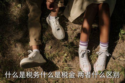 什么是稅務(wù)什么是稅金 兩者什么區(qū)別