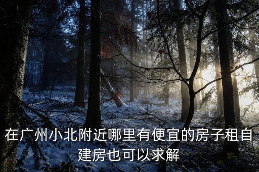 小北租房，有廣州小北應(yīng)元路的房子出租沒價格多少