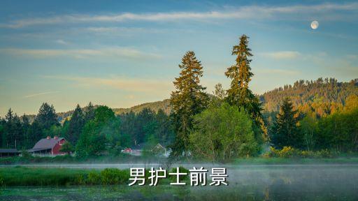 男護(hù)士前景