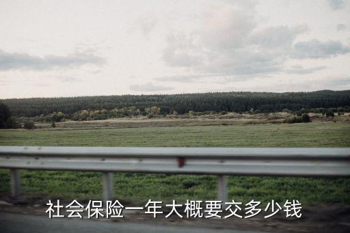 社會(huì)保險(xiǎn)一年大概要交多少錢(qián)