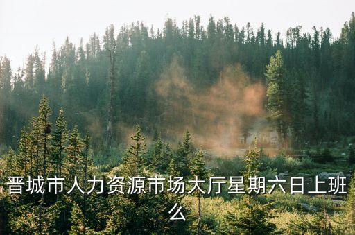 晉城市人力資源市場(chǎng)大廳星期六日上班么