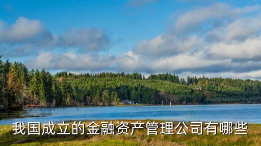 金融資產(chǎn)管理公司，我國成立的金融資產(chǎn)管理公司有哪些