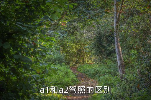 a1a2駕駛證，A2和A1駕駛證的區(qū)別在那