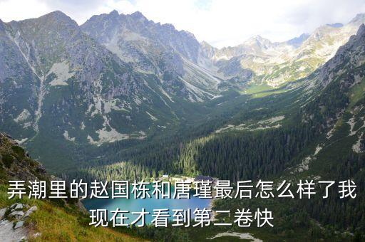 弄潮里的趙國棟和唐瑾最后怎么樣了我現(xiàn)在才看到第二卷快