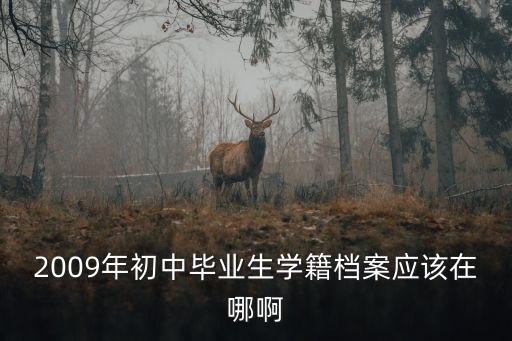 2009年初中畢業(yè)生學籍檔案應該在哪啊