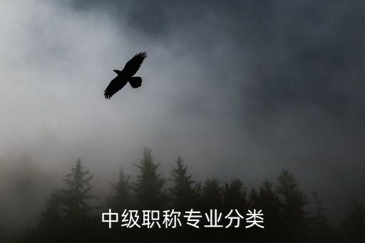 中級職稱有哪些專業(yè)，中級職稱都有什么專業(yè)