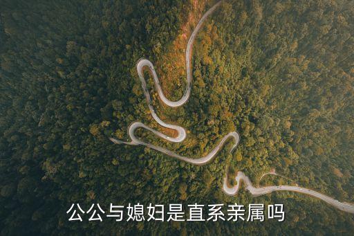 公公與媳婦是直系親屬嗎