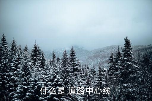 道路中線，什么是 道路中心線