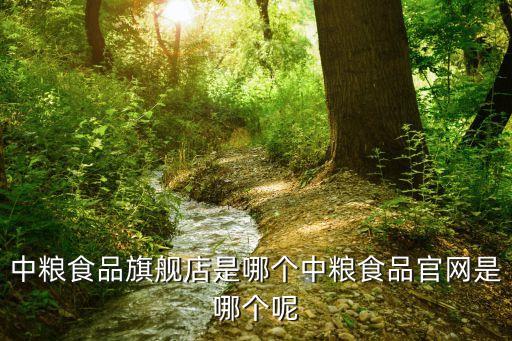 中糧食品旗艦店是哪個(gè)中糧食品官網(wǎng)是哪個(gè)呢