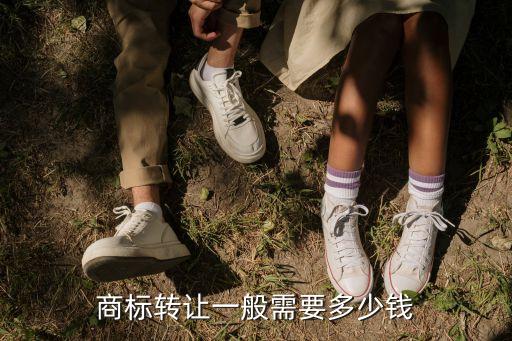 商標(biāo)轉(zhuǎn)讓一般需要多少錢