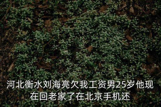河北衡水劉海亮欠我工資男25歲他現(xiàn)在回老家了在北京手機還