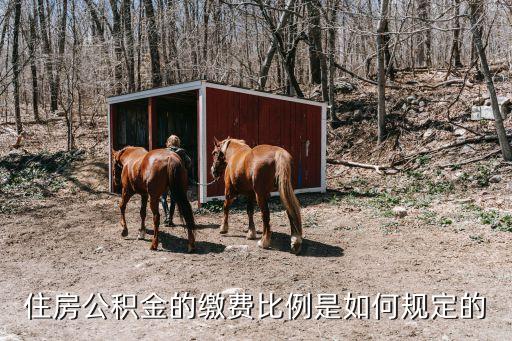 住房公積金的繳費(fèi)比例是如何規(guī)定的