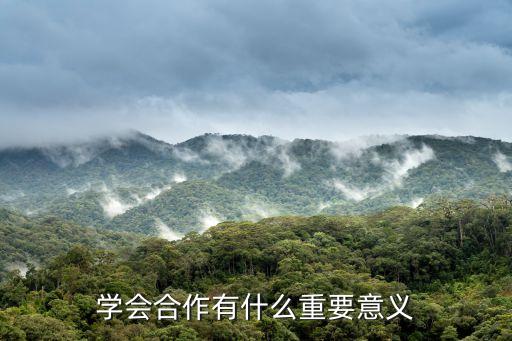 合作，in cooperation with是什么意思