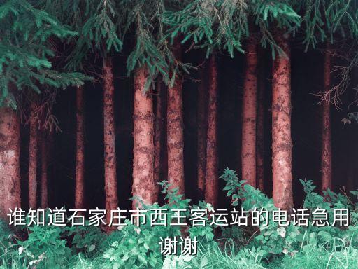 石家莊西王客運(yùn)站，誰知道石家莊市西王客運(yùn)站的電話急用謝謝