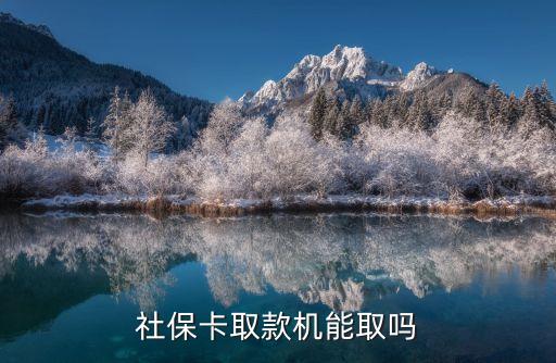 社保卡取款機能取嗎