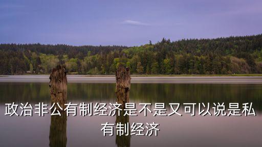 私有制經(jīng)濟，什么是私有制