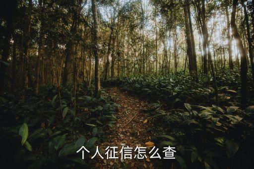 我的征信查詢，個(gè)人征信怎么查