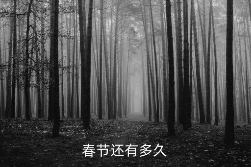 春節(jié)還有多久