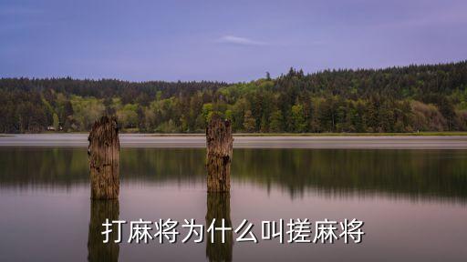 搓麻將，玩手搓麻將有什么技巧