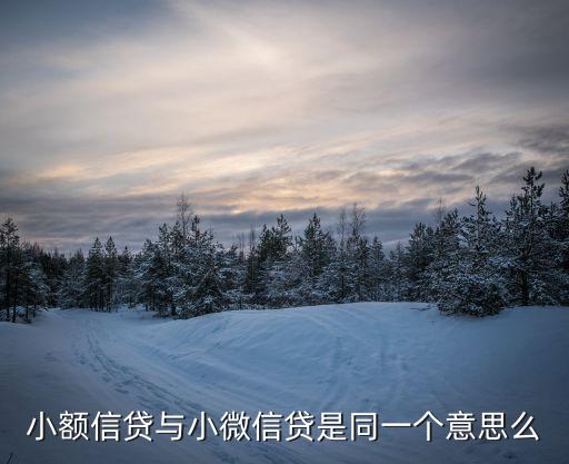 小額信貸與小微信貸是同一個(gè)意思么