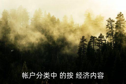 帳戶分類中 的按 經(jīng)濟內(nèi)容