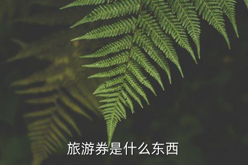 旅游券，旅游券是什么東西
