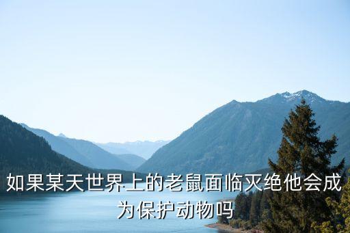 老鼠是保護(hù)動(dòng)物嗎，冬毛老鼠跟野雞是不是國(guó)家保護(hù)動(dòng)物