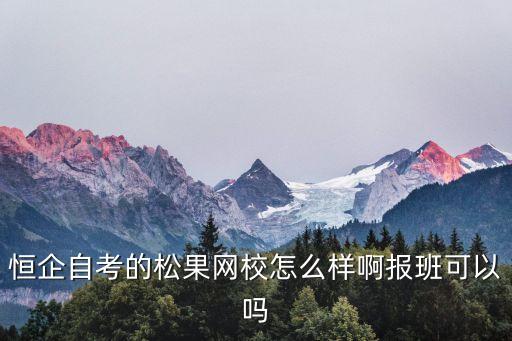 恒企自考的松果網(wǎng)校怎么樣啊報班可以嗎