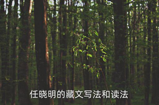 任曉明，一個(gè)單位下屬若干個(gè)單位在牌子上如何表述