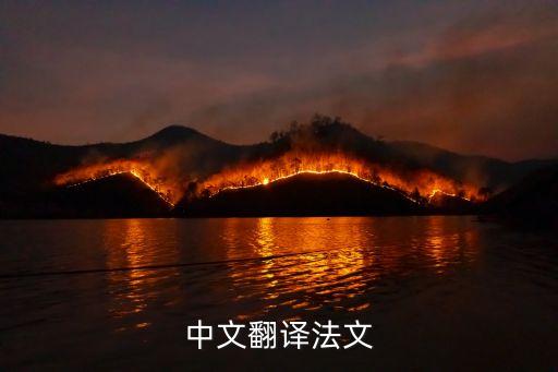 中法互譯，法語翻譯中文