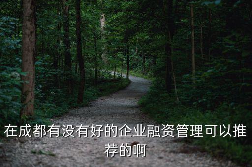 成都融資，在成都有沒(méi)有好的企業(yè)融資管理可以推薦的啊