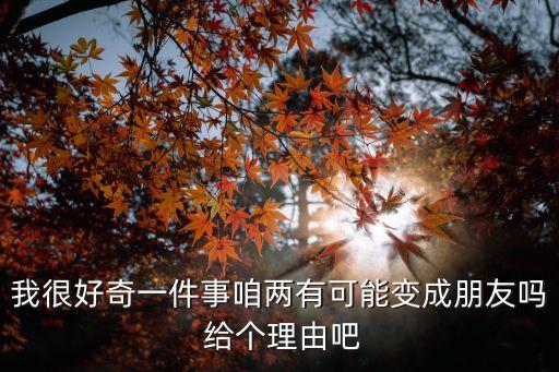 我很好奇一件事咱兩有可能變成朋友嗎 給個理由吧