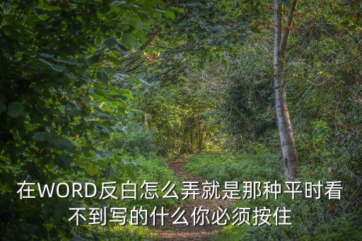 在WORD反白怎么弄就是那種平時(shí)看不到寫的什么你必須按住