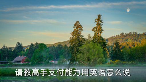支付能力，現(xiàn)金支付能力分析包括哪些