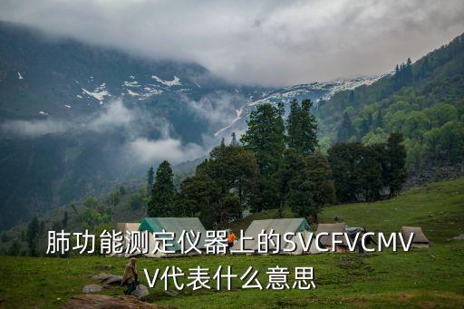 mvv，肺功能測定儀器上的SVCFVCMVV代表什么意思