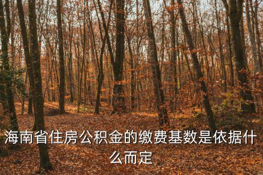 海南住房公積金，海南省住房公積金的繳費基數(shù)是依據(jù)什么而定