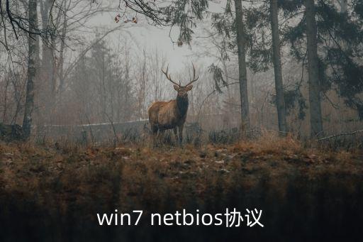 win7 netbios協(xié)議